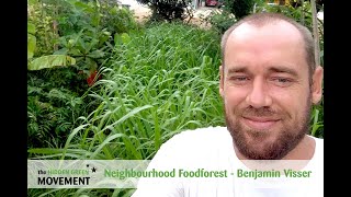 Neighbourhood communal Foodforest at Brievengat curacao [upl. by Vere]