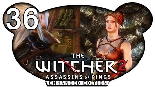 The Witcher 2 Assassins of Kings 36  Geld verprassen Lets Play German Deutsch 1440p [upl. by Duax]