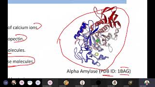 Production of Amylase Catalase Peroxidase Lipase Protease [upl. by Haduj]