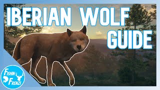 Iberian Wolf Guide  theHunter  Call of the Wild [upl. by Atinit]