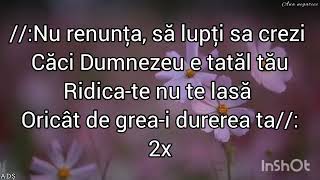 Negativ ton fata Nu renunța  Fernando Biji amp Marius din Bărbulești [upl. by Latashia]