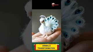 Animal before and after growing up trending animals funnyanimals animaltransformation [upl. by Violette]