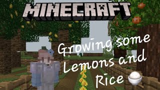 Minecraft  Farming AddOn  Were farming bcs Im tired 🥱 [upl. by Ardena]