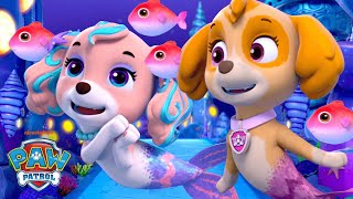 Skye Meets Her Mermaid Cousin Coral in Puplantis w PAW Patrol Zuma amp Chase  Shimmer and Shine [upl. by Ennahgiel819]