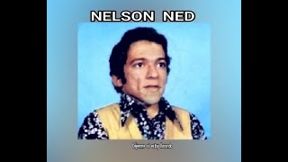 NELSON NED  DEJENMEME SI ESTOY LLORANDO LETRA [upl. by Natanoy]