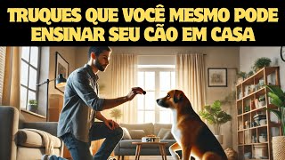 Como Adestrar Seu Cachorro em Casa Dicas e Técnicas Fáceis [upl. by Elawalo]