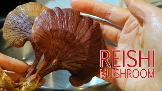 How To Make Reishi Mushroom Tea Ling Chi Ling Zhi [upl. by Mandler]