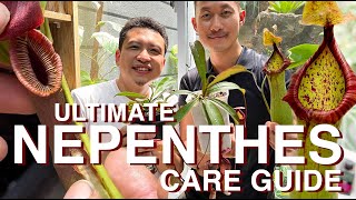 Nepenthes carnivorous pitcher plants beginners and advance care with Yudhistira [upl. by Flagler336]