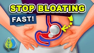 5 Ways to STOP Bloating Fast  How to Get Rid of Belly Bloating Fast [upl. by Kean]