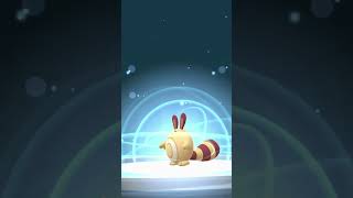 Evolving SHINY ✨ Sentret to Furret  Pokémon GO Shiny Evolution [upl. by Moody319]