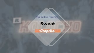 David Guetta vs Snoop Dogg  Sweat Acapella [upl. by Anihpesoj]