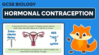 Hormonal Contraception  GCSE Biology [upl. by Rockel]