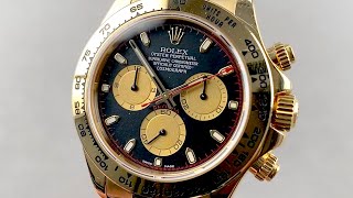 Rolex Cosmograph Daytona Steel Yellow Gold Watch 116503  SwissWatchExpo 1 Minute Watch Review [upl. by Nawor]