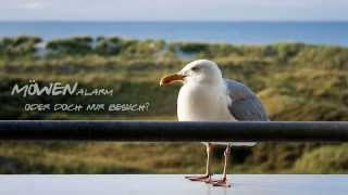 24 Stunden auf Ameland in Bildern [upl. by Osana]