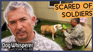 Tragic Rescue Dog Is Terrified Of Men In Army Uniforms 😭  S8 Ep 4  Dog Whisperer With Cesar Millan [upl. by Eiramaneet557]