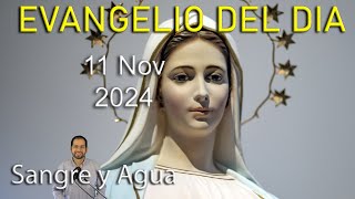 Evangelio Del Dia Hoy  Lunes 11 Noviembre 2024 Sangre y Agua [upl. by Welcy]