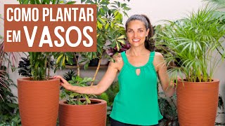 APRENDA o JEITO CERTO de PLANTAR EM VASOS [upl. by Hartzel153]