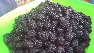 Blackberries properties and benefits Blackberry leaf uses properties [upl. by Beebe611]