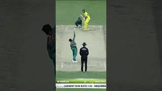 Australia All Fall of Wickets Against Pakistan PAKvAUS SportsCentral Shorts PCB M7C2K [upl. by Akirea235]