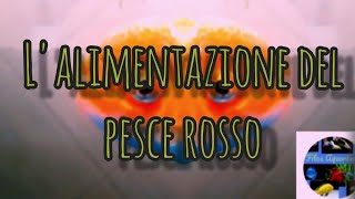 Come alimentare il pesce rosso pescirossi oranda alimentazione [upl. by Paulie158]