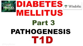 DIABETES MELLITUS  Part 3 Pathogenesis  Type 1 Diabetes Mellitus [upl. by Cralg]