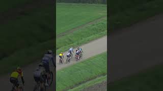 ⚠️WAAIERS💨 Scheldeprijs SP wielrennen [upl. by Pellegrini]