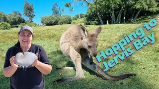 Hopping to Jervis bay  Episode 23 [upl. by Lejna]