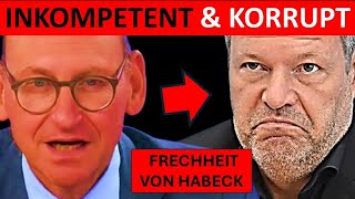 💥EIL💥 TOPÖKONOM DR STELTER RECHNET KNALLHART MIT HABECK AB [upl. by Mccoy250]