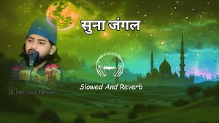 सुना जंगल रात अंधेरी Gulfam Raza Hassani Slowed And Reverb [upl. by Letnahc]