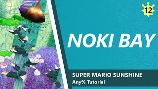 Noki Bay  SMS Any Tutorial 12 [upl. by Doownil]