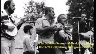 The Seldom Scene  Muleskinner Blues  1974 [upl. by Elleyoj]