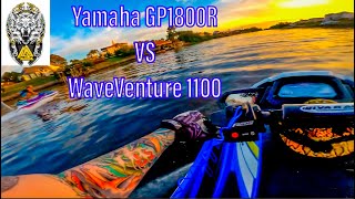 Yamaha GP1800R SVHO VS Yamaha WaveVenture 1100  We Found Horses In River [upl. by Latsyrhc662]