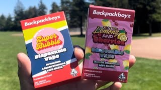 Fake Disposable Carts Vs Real Disposable Carts backpackboyz [upl. by Cassandre]