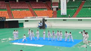 Taekwondo KTiger Wongkwang University World Scout Jamboree 2023 [upl. by Nonah768]