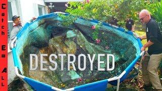 DESTROYED my FISH POOL POND [upl. by Sotsirhc797]