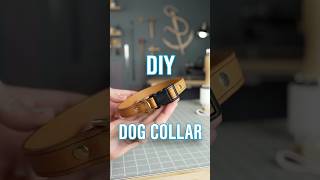 Make Your Own Leather Dog Collar  ASMR diy doglover leathercraft [upl. by Ayo636]