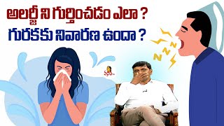 అలర్జీ ని గుర్తించడం ఎలా గురక కు నివారణ ఉందా  How To Identify Allergy Is There Cure For Snoring [upl. by Ellenig]