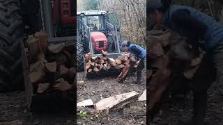 Back home 🏡 forest woodworking homestead woodfarm chainsaw moviesoundtracks farmstead [upl. by Huesman]