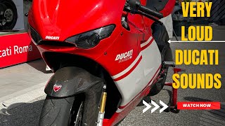 Ducati Sounds complilation Panigale v4 FM exhaustDesmosedici RR  1299Akra V4R Superrbike [upl. by Kreegar744]