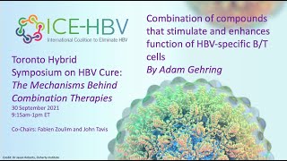 ICEHBV Cure Symposium 2021 Compound combos that stimulate amp enhance HBVspecific BT cells function [upl. by Schott]