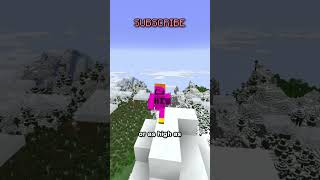 how to make faster horses this video doesnt matter at all cause you can just get an elytra and fly [upl. by Waring]