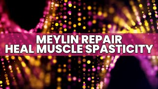 Myelin Repair  Alleviate Neurological Problems  Heal Muscle Spasticity  Stop Tingling In body [upl. by Saihttam]