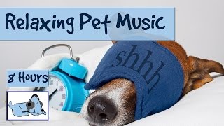 8 HOURS OF RELAX MY DOG MUSIC Longest Video Yet Relaxing Pet Music Soundsweep 🐶 RMD03 [upl. by Olnek]