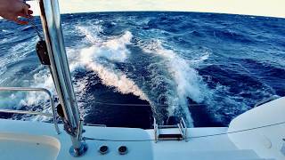 Lagoon 46 Catamaran Sailing 2600nm Ep2 [upl. by Micco203]