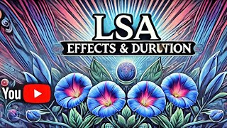 The Effects and Duration of LSA What You Need To Know [upl. by Mulvihill]