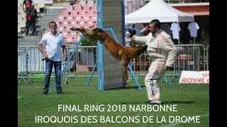 Iroquois des Balcons de la Drome  Final ring 2018 Narbonne [upl. by Illom]