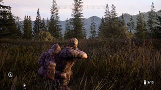 Bagging 3 Animals During Evening Hunt  Hunting Simulator 2 [upl. by Filler835]