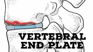 Vertebral end plate [upl. by Nirol]