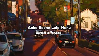 Aake Seene Lale Menu  Rim Jhim Khan Shaab Pav Dharia  Slowed x Reverb  Lofi Music Pvtcom [upl. by Nidnal272]