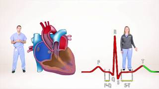 ECG for Beginners Understanding the waves of ECG P wave QRS complex [upl. by Asnarepse]